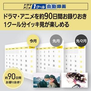 パナソニック(Panasonic) DMR-4...の詳細画像2