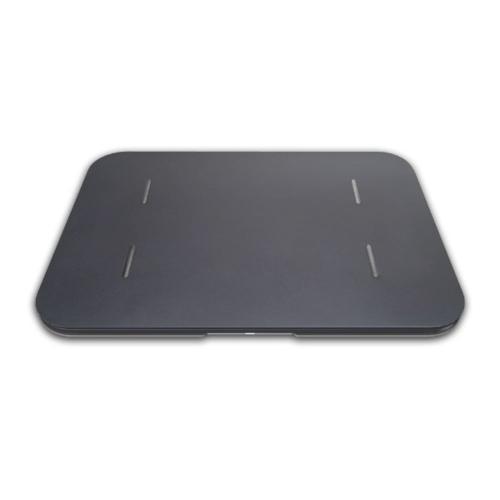 issin 取り替え用ソフト珪藻土マット単品 体組成計モデル専用 ダークグレー※珪藻土バスマット単品...