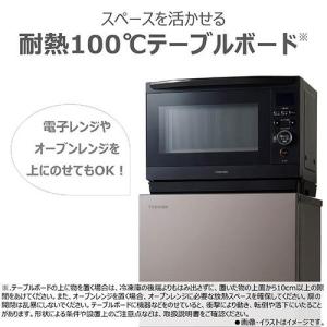 東芝(TOSHIBA) GF-Y14HS-HT...の詳細画像5