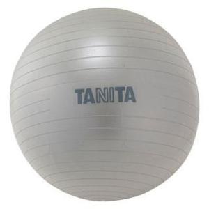 タニタ(TANITA) TS-962(シルバー) タニタサイズ ジムボール｜ECカレント