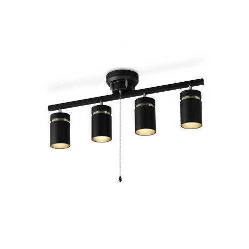 アイリスオーヤマ(Iris Ohyama) CE4LA-22SS-MB マットブラック 4灯シーリン...