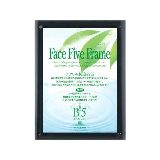 アートプリントジャパン フェイスファイブフレーム B5 スモーク[代引不可]