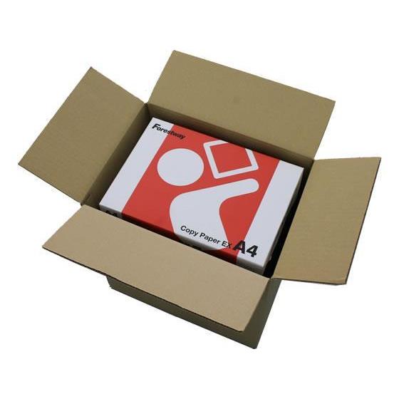 その他 中型段ボール箱 SS A4 No.4 340×250×335 20枚 罫線入[代引不可]