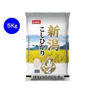 その他 新潟県産コシヒカリ 5kg[代引不可]｜eccurrent