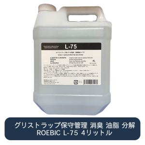 1個】エコラボ サニタイジング ウォッシュン ウォーク 業務用 店舗清掃