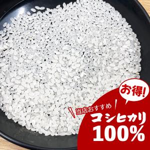 セール 米 大地のコシヒカリ 10kg 白米 ...の詳細画像4
