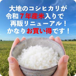 セール 米 大地のコシヒカリ 10kg 白米 ...の詳細画像2