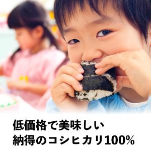セール 米 大地のコシヒカリ 10kg 白米 ...の詳細画像5