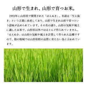 【夏のセール中】 山形産 はえぬき お米 5k...の詳細画像1