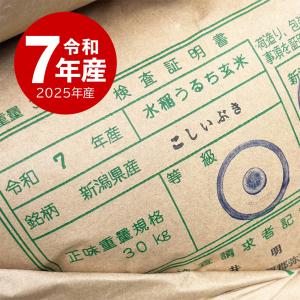 米 新潟産 こしいぶき お米 15kg 令和7...の詳細画像3