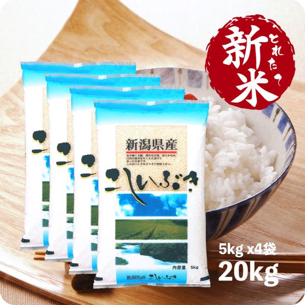 米 20kg 新潟産こしいぶき お米 20キロ 送料無料 令和5年産 白米 精米 5kg x4袋