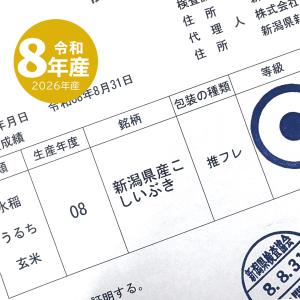 新米 令和8年産 新潟産 こしいぶき お米 2...の詳細画像3