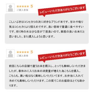 新米 令和8年産 新潟産 こしいぶき お米 2...の詳細画像5