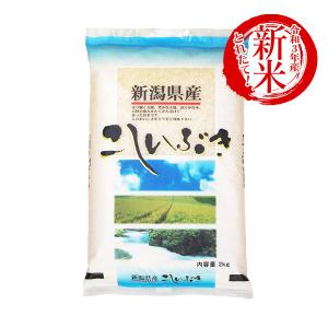 新米 お米 2kg 新潟産 こしいぶき 白米 2kg 平成2...