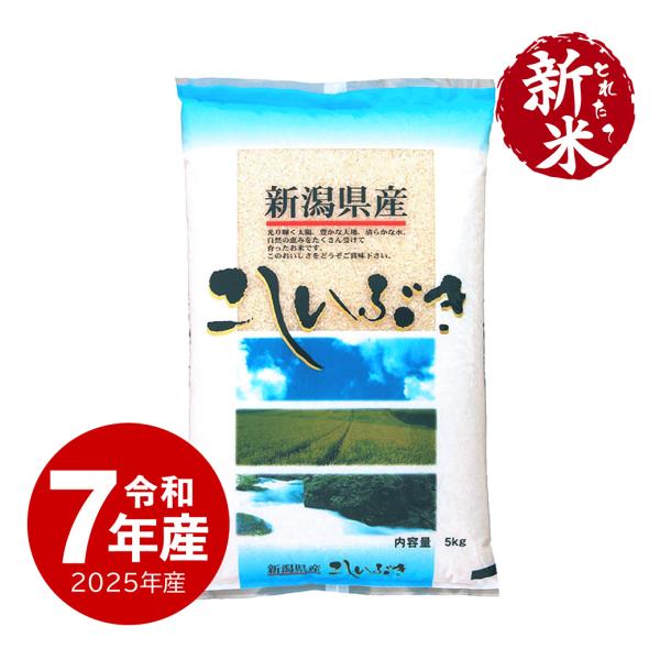 米 5kg 新潟産こしいぶき お米 5キロ 令和5年産 精米 白米