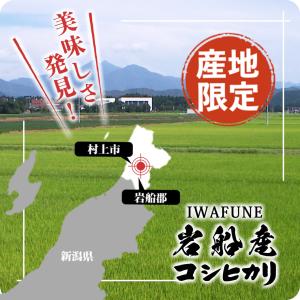 【夏のセール中】 岩船産コシヒカリ お米 10...の詳細画像4