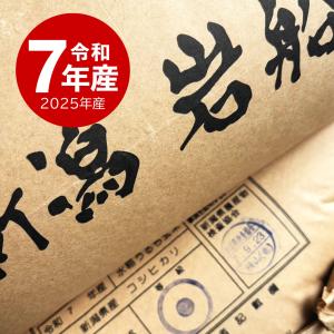 【夏のセール中】 岩船産コシヒカリ お米 10...の詳細画像3