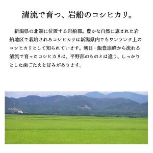 【夏のセール中】 岩船産コシヒカリ お米 15...の詳細画像1