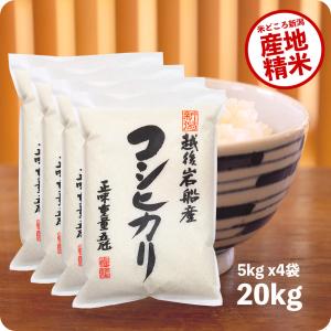 米 20kg 岩船産コシヒカリ お米 20キロ 令和5年産 こしひかり 新潟県産 産直 精米 白米 5kgx4袋 送料無料｜echigo-inahoya