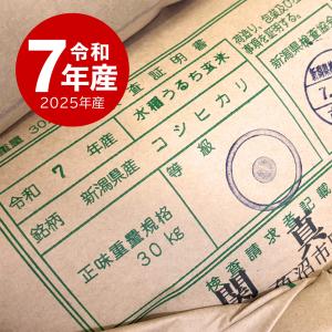 【夏のセール中】 亀五郎 魚沼産コシヒカリ お...の詳細画像1