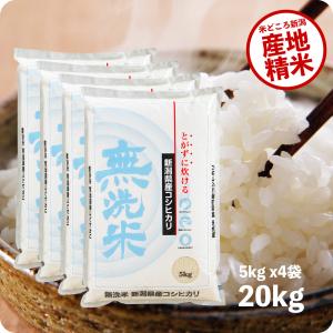 米 20kg 新潟コシヒカリ （無洗米） お米 20キロ 令和5年産 送料無料｜echigo-inahoya