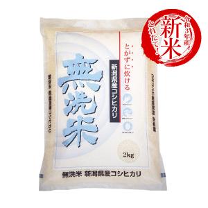 米 2kg 無洗米コシヒカリ 新潟県産 お米 精米 白米