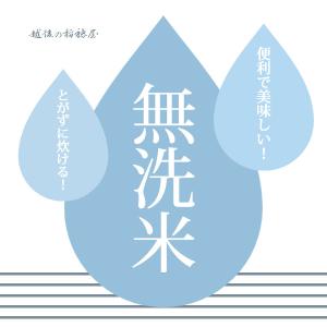 【夏のセール中】 無洗米 新潟産コシヒカリ お...の詳細画像1