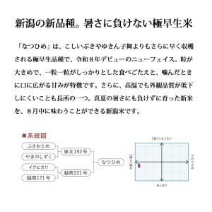 とれたて新米 新潟産 なつひめ お米 5kg ...の詳細画像1
