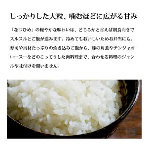 とれたて新米 新潟産 なつひめ お米 5kg ...の詳細画像2