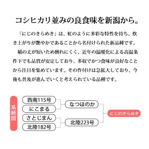 【夏のセール中】 新潟産 にじのきらめき お米...の詳細画像1