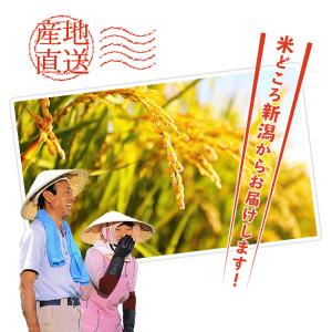 【夏のセール中】 新潟産 にじのきらめき お米...の詳細画像4