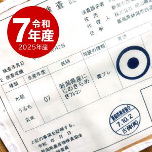 【夏のセール中】 新潟産 にじのきらめき お米...の詳細画像3