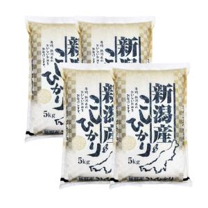 【夏のセール中】 新潟産コシヒカリ お米 20...の詳細画像4