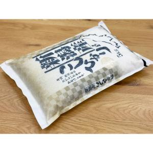 【夏のセール中】 新潟産コシヒカリ お米 20...の詳細画像5