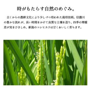 【夏のセール中】 新潟産コシヒカリ お米 5k...の詳細画像1