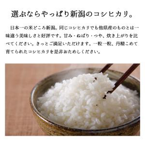【夏のセール中】 新潟産コシヒカリ お米 5k...の詳細画像2