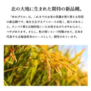 爆買 【夏のセール中】 北海道産 ゆめぴりか ...の詳細画像1