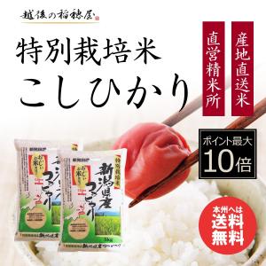 コシヒカリ 10kg 特別栽培米 - 米 5kg x2袋 こしひかり 新潟産 お米 送料無料 平成30年産