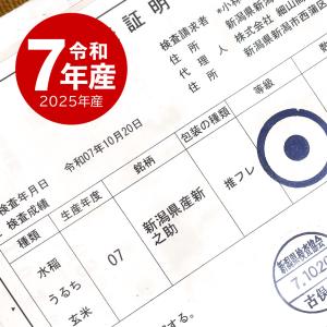 【夏のセール中】 新之助 お米 10kg 令和...の詳細画像4