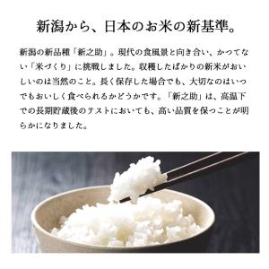 米 10kg 新之助 お米 10キロ 令和5年...の詳細画像3