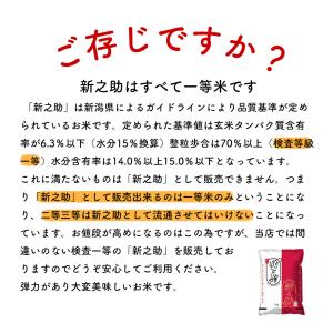 【夏のセール中】 新之助 お米 10kg 令和...の詳細画像3