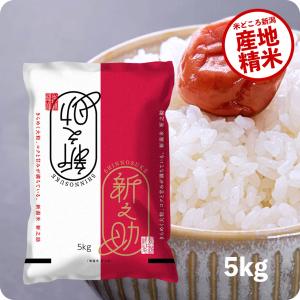 米 5kg 新之助 お米 5キロ 新潟県産 一等米 しんのすけ 令和5年産 白米 産直 精米 送料無料｜越後の稲穂屋 ヤフー店