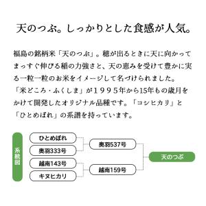 【夏のセール中】 天のつぶ お米 10kg 令...の詳細画像1