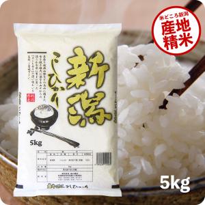 米 5kg 新潟県産コシヒカリ お米 5キロ 令和5年産 こしひかり 産直 精米 白米｜echigo-inahoya