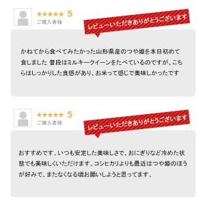 【夏のセール中】 山形産 つや姫 お米 10k...の詳細画像5