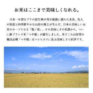 【夏のセール中】 山形産 つや姫 お米 10k...の詳細画像1