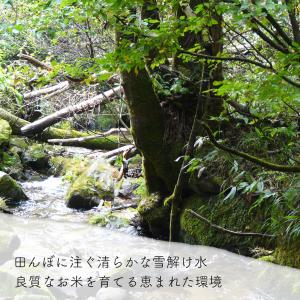 【夏のセール中】 魚沼産コシヒカリ 10kg ...の詳細画像2