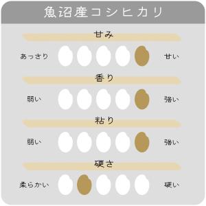 【夏のセール中】 魚沼産コシヒカリ 10kg ...の詳細画像5