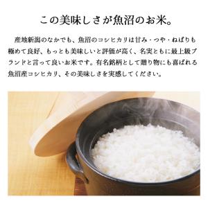 【夏のセール中】 魚沼産コシヒカリ 10kg ...の詳細画像3