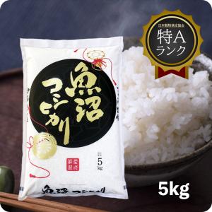 米 5kg 魚沼産コシヒカリ お米 5キロ 令和5年産 特A こしひかり 送料無料 白米 産直 精米